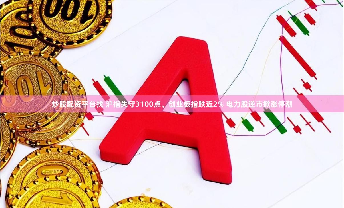 炒股配资平台找 沪指失守3100点、创业板指跌近2% 电力股逆市掀涨停潮