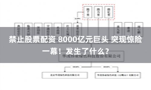 禁止股票配资 8000亿元巨头 突现惊险一幕！发生了什么？