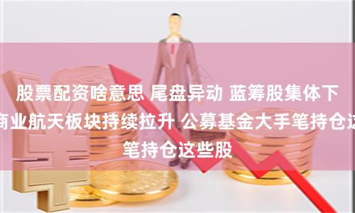 股票配资啥意思 尾盘异动 蓝筹股集体下挫！商业航天板块持续拉升 公募基金大手笔持仓这些股