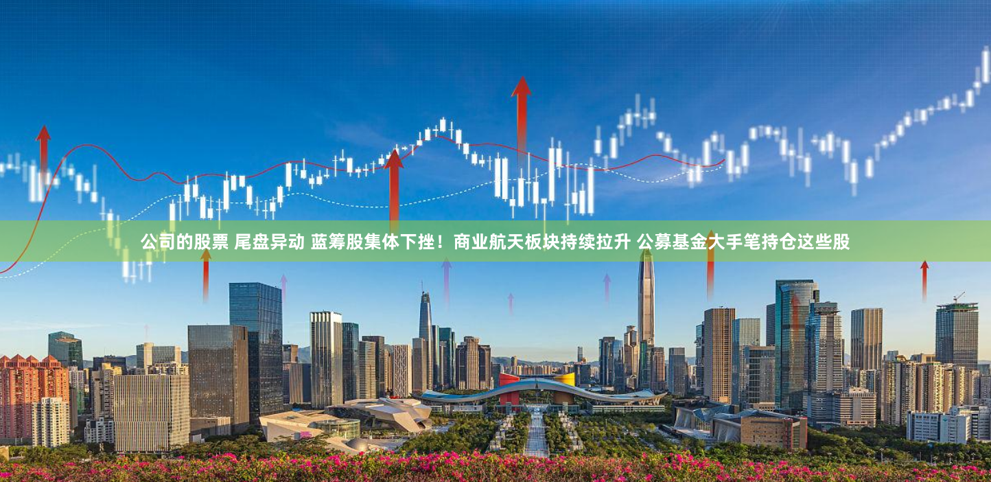 公司的股票 尾盘异动 蓝筹股集体下挫！商业航天板块持续拉升 公募基金大手笔持仓这些股