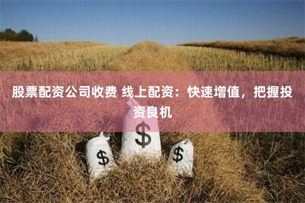 股票配资公司收费 线上配资:快速增值,把握投资良机