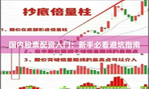 国内股票配资入门:新手必看避坑指南